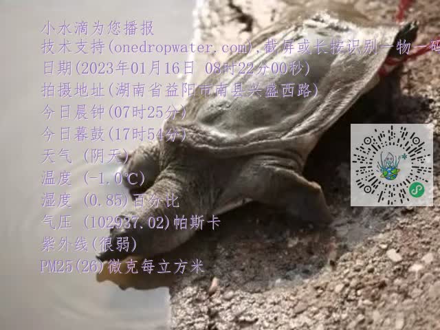 0.mp4