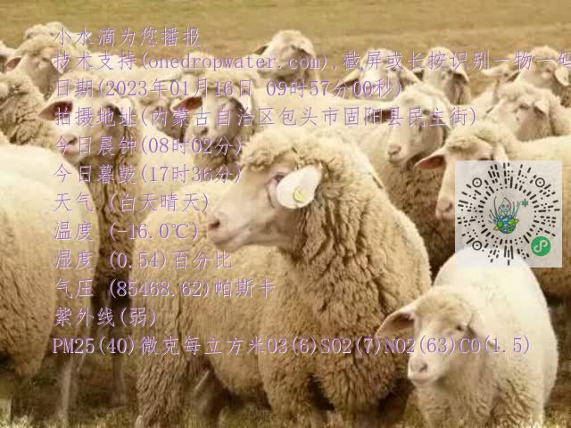 0.mp4