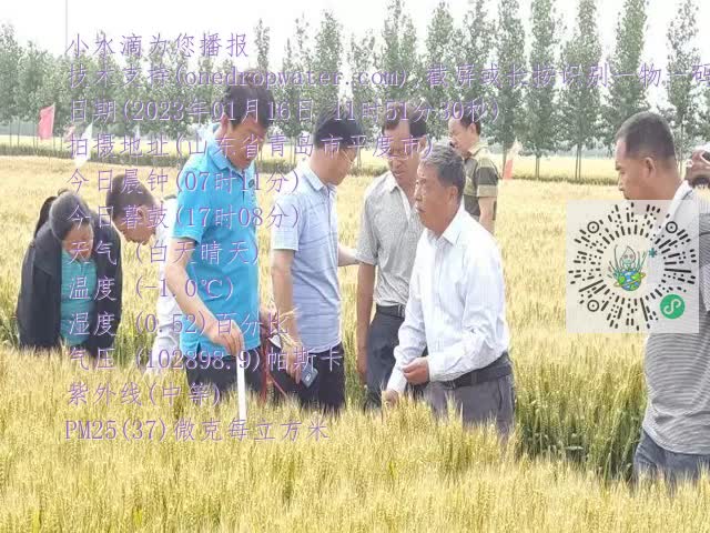 0.mp4