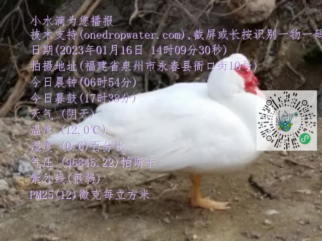 0.mp4