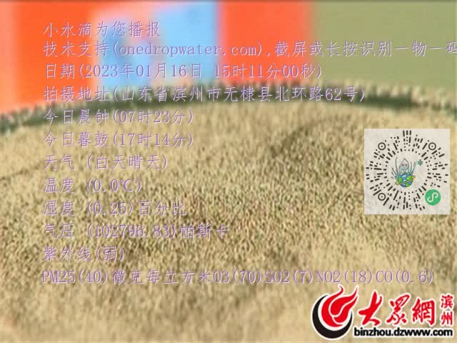 0.mp4