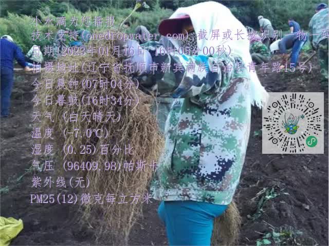 0.mp4