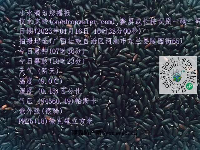 0.mp4