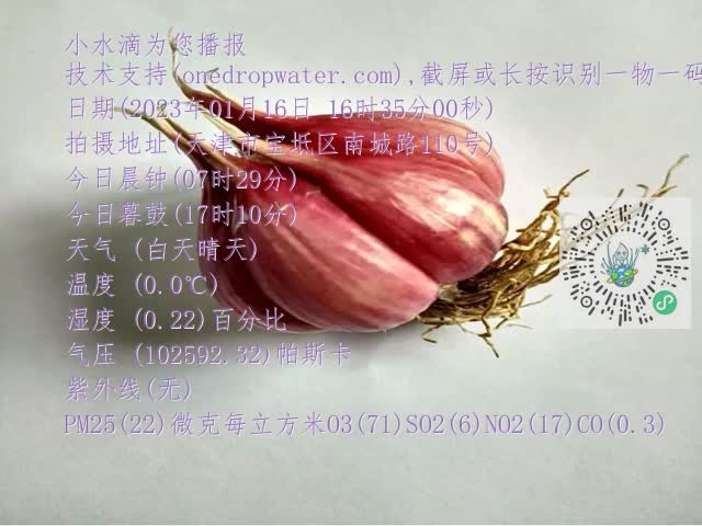 0.mp4