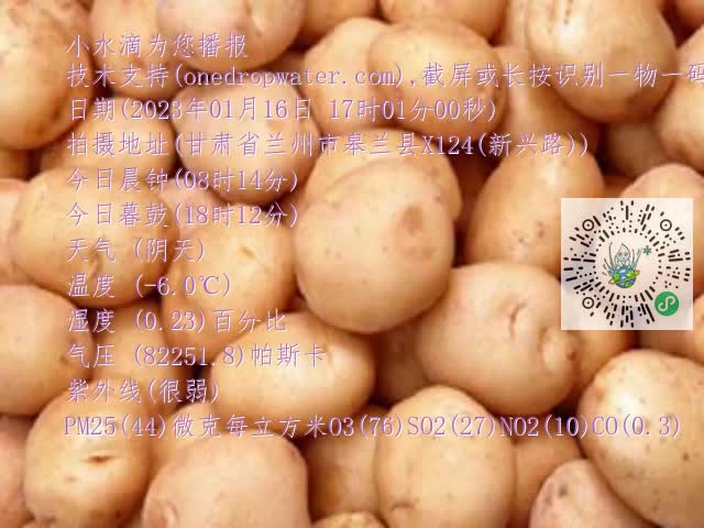 0.mp4