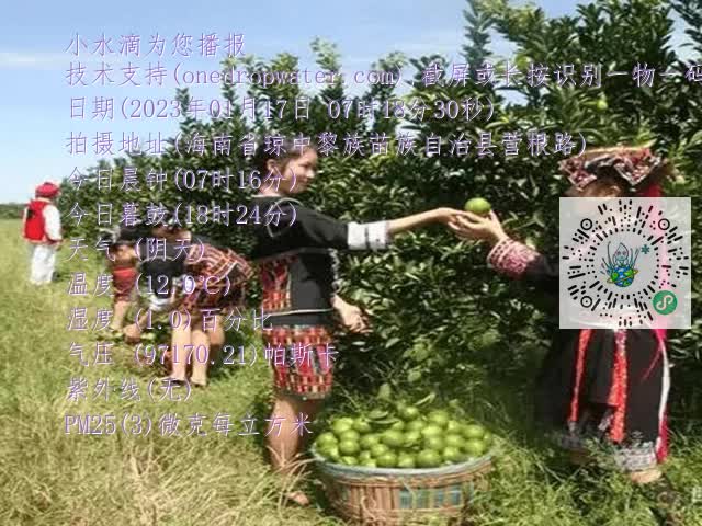 dcd69c1d88adf04ab89721dd53ac73c5.mp4