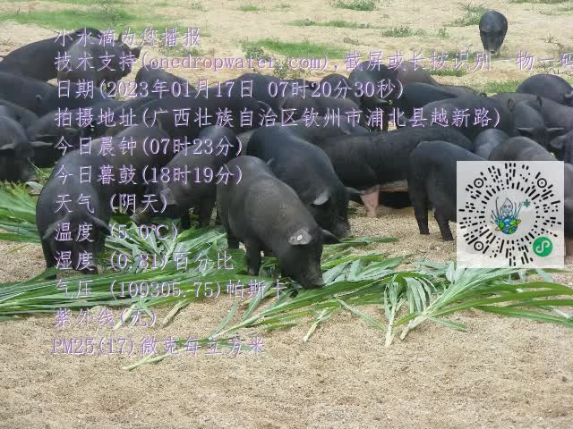 0.mp4