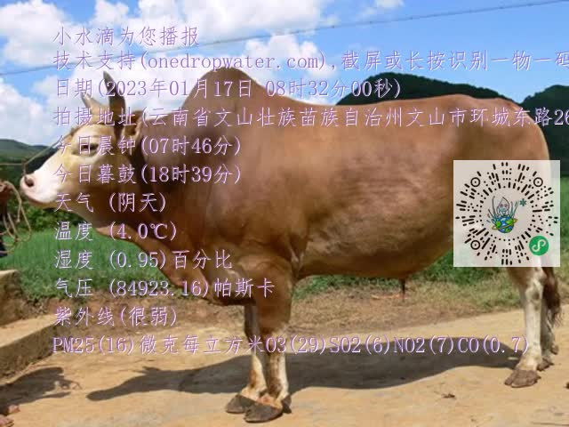 0.mp4