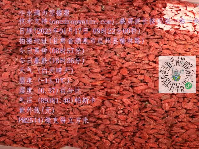 0.mp4