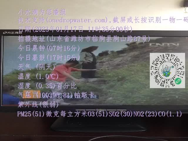 0.mp4