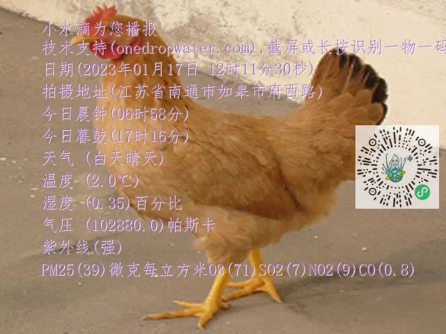 0.mp4