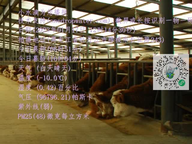 0.mp4