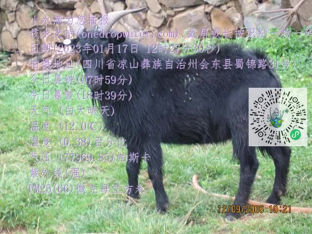 0.mp4