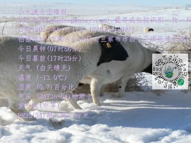 0.mp4