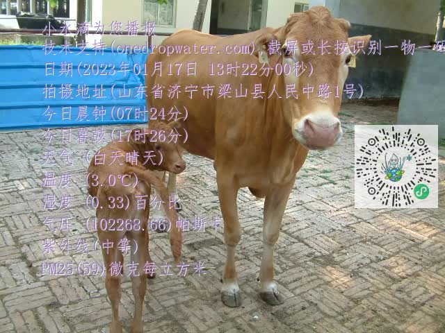 0.mp4