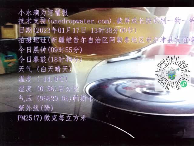 0.mp4