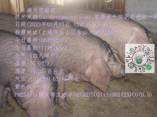 0.mp4