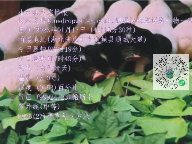 0.mp4
