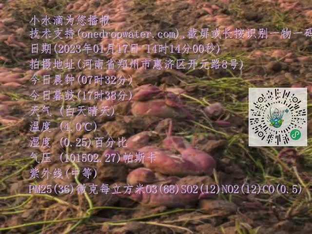 0.mp4