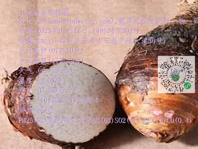 0.mp4
