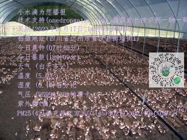 0.mp4