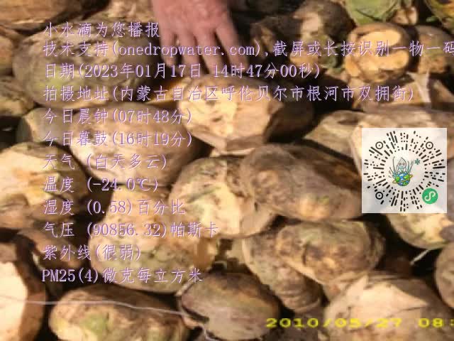 0.mp4