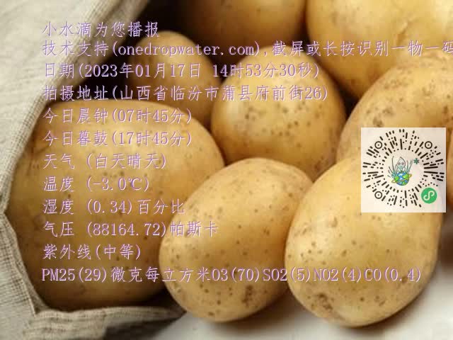 0.mp4