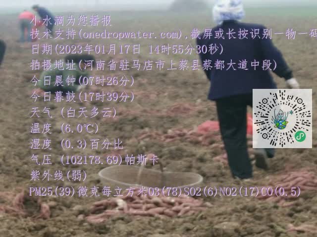 0.mp4