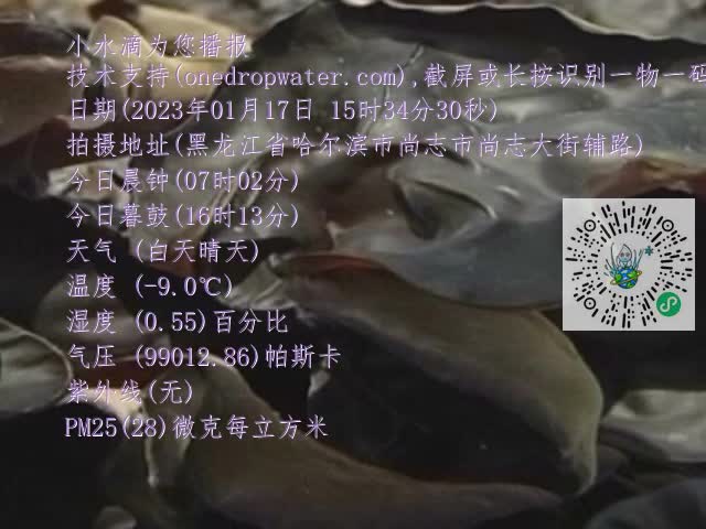 0.mp4