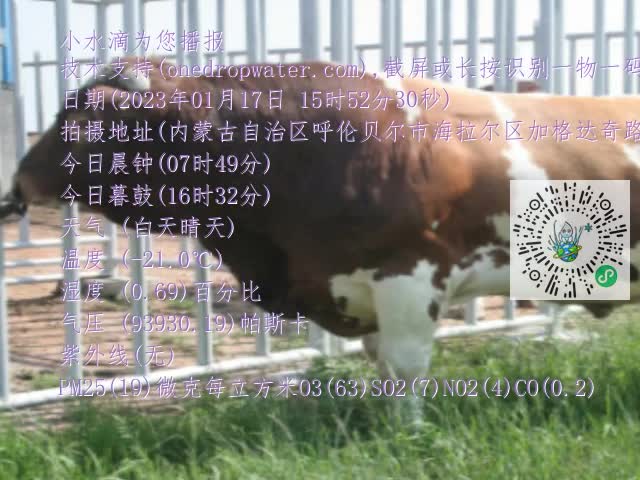 0.mp4