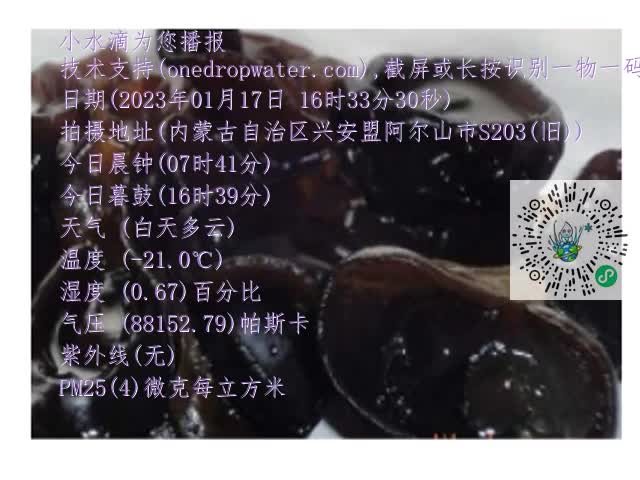 0.mp4