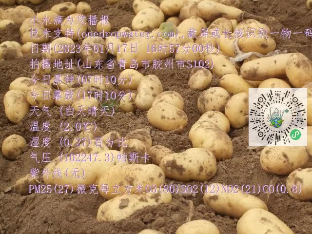 0.mp4