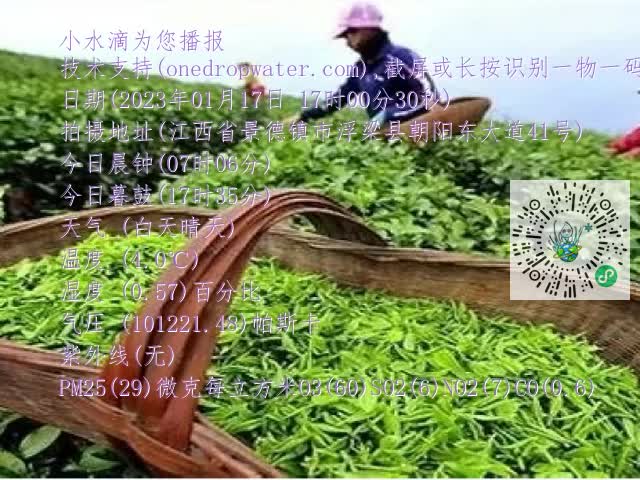 0.mp4