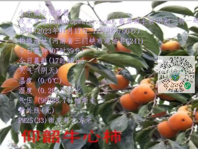 0.mp4