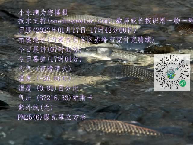 0.mp4