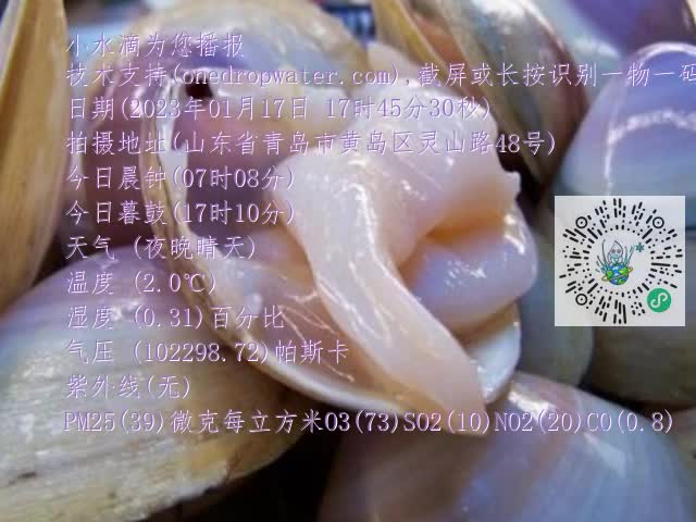 0.mp4
