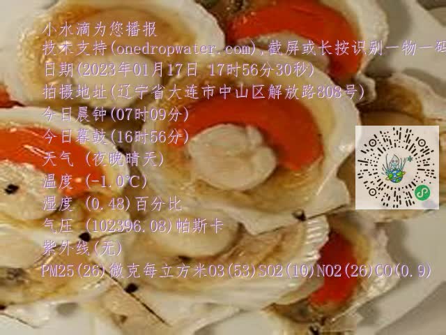 0.mp4