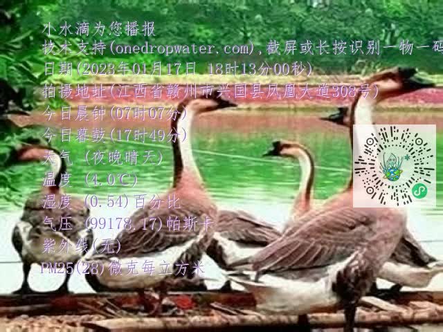 0.mp4