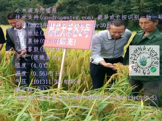 0.mp4