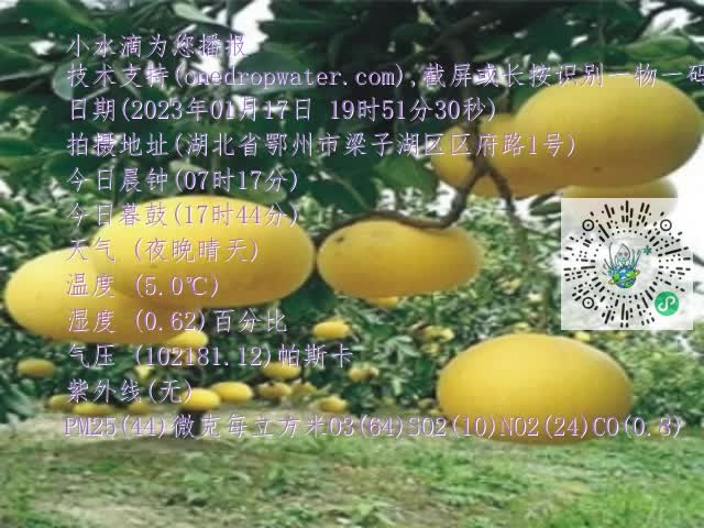 0.mp4