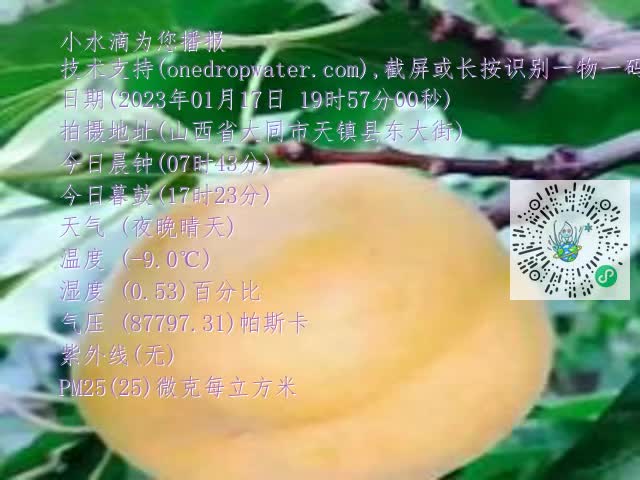 0.mp4