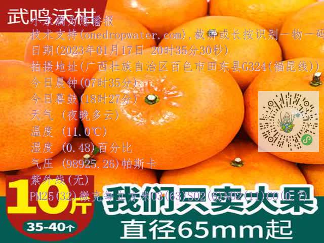 e8ac2f86629b315922c7e03277189119.mp4