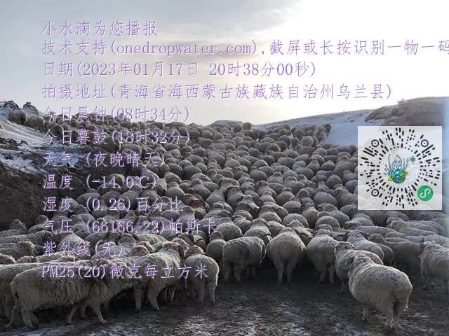 20a37bd5021d21591bac0a734073c578.mp4