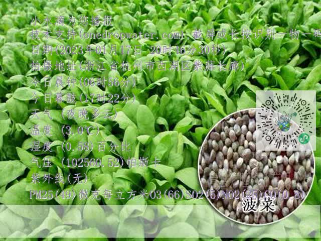 7c5901b51e21741fafbe1cb3b15226f9.mp4