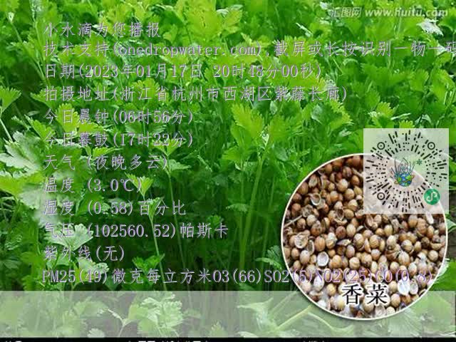 2a985a522c75a847263c26cdf1b8246d.mp4