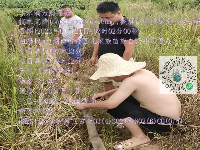fb1356e90e19873b181cebbc07f72c78.mp4
