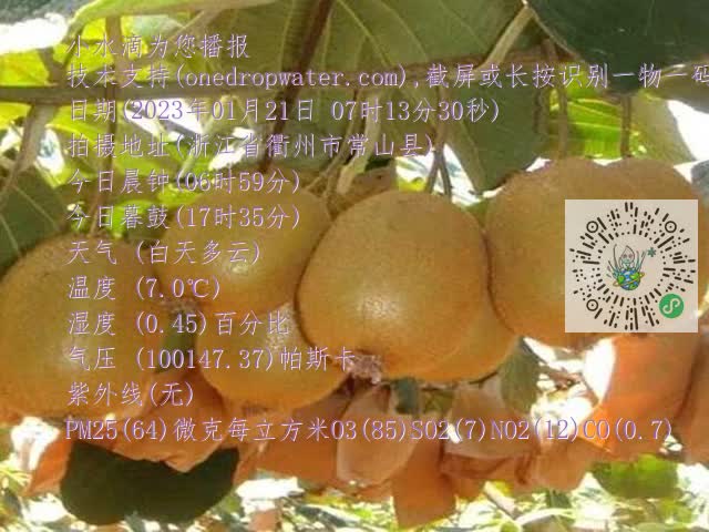 cf396d90520328060e002c0381a78e2e.mp4
