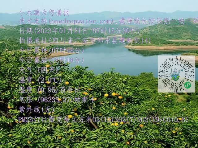 710dd9a2bbdcc7f599e8cf216ccee0a4.mp4