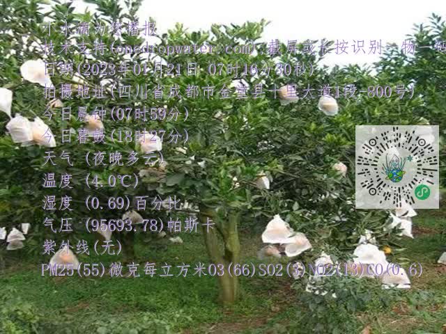 cbf8153904b560875ce45f0c0f7c89b0.mp4