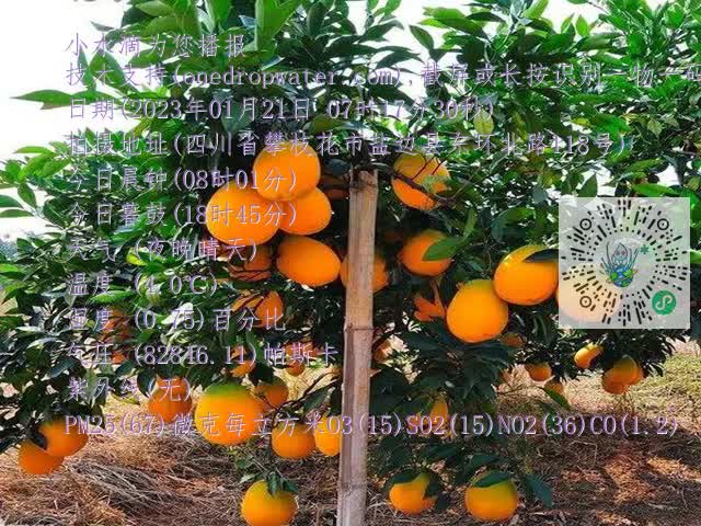 798093ca6c0a8be1c5d9a1179385bf1d.mp4